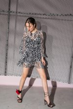 Ζέβρα μινι φόρεμα