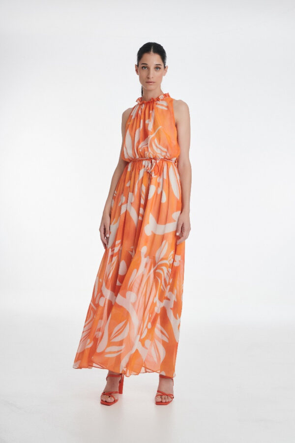 66D50125-E8C3-476F-97F2-80403B88FEBF ΦΌΡΕΜΑ MAXI ΕΜΠΡΙΜΈ - Image 2