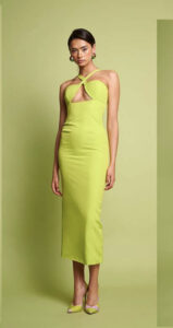 Amaro midi dress - Image 3