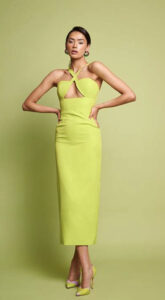 Amaro midi dress
