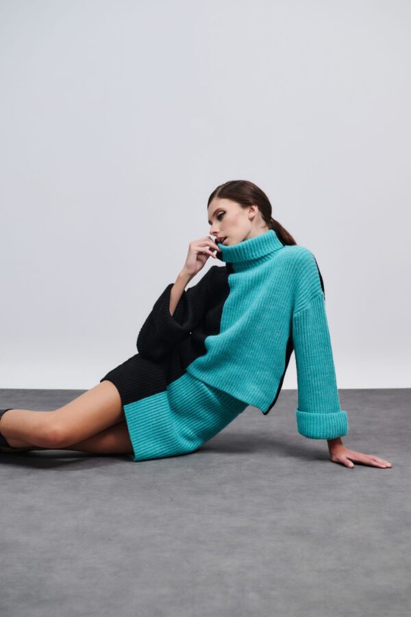 IMG_2179 Skirt Mini Two-Tone - Image 1