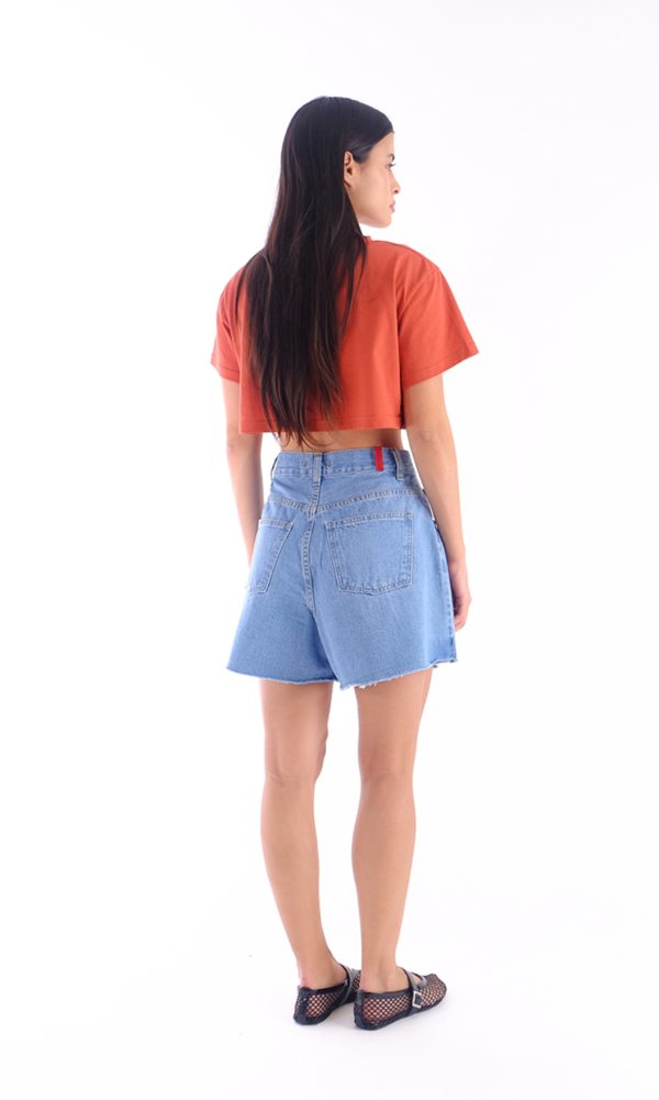 CLEA LIGHT - Image 3