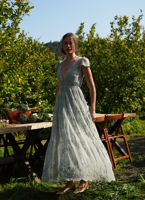 lacewing φόρεμα - Image 1