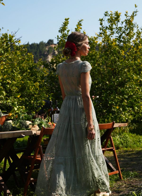 lacewing φόρεμα - Image 5