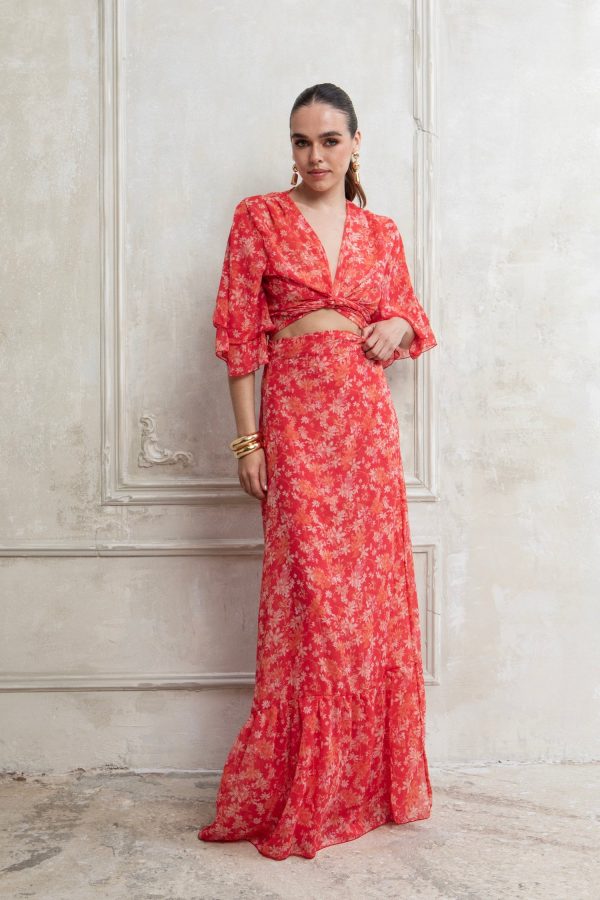 IMG_5234 CORALIA MAXI POLYMORPHIC set - Image 1