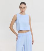 CLEO TOP