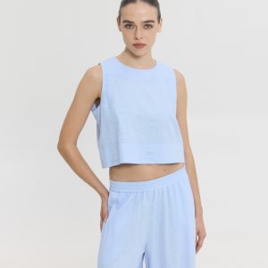 CLEO TOP