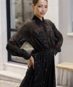 Crispin chiffon dress - Image 3
