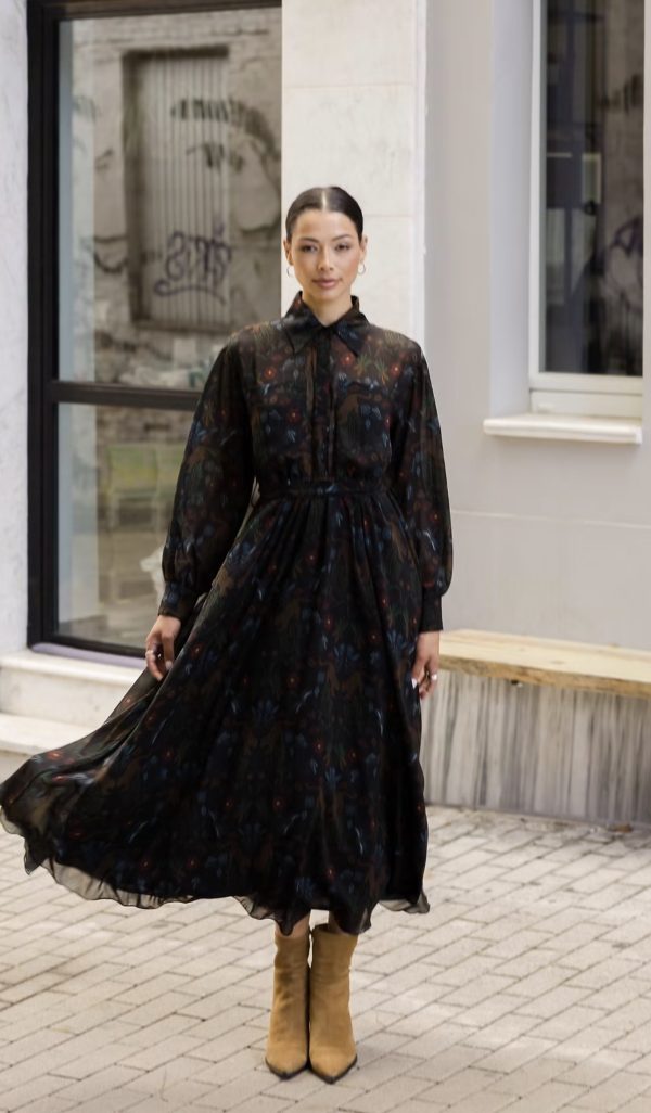 Crispin chiffon dress - Image 1
